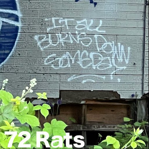 It All Burns Down Someday — 72 Rats album art